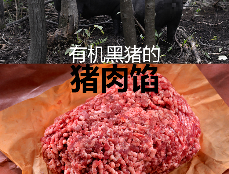 豬肉餡